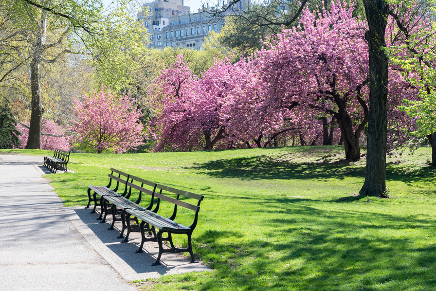 [Blog Post] - Planning for Change in the Market | The Retirement Planning Group
