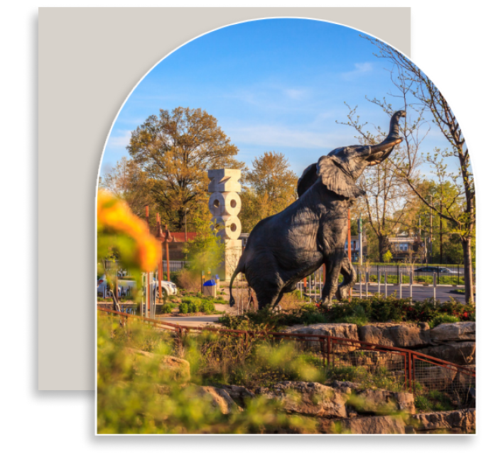 STL Zoo w Drop Shadow STL Zoo Arch Elephant