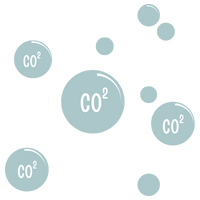 CO2 Bubbles