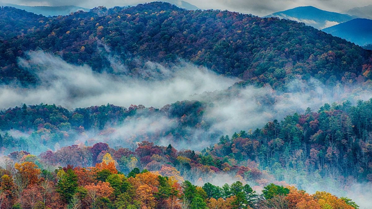 Great Smoky Mountains