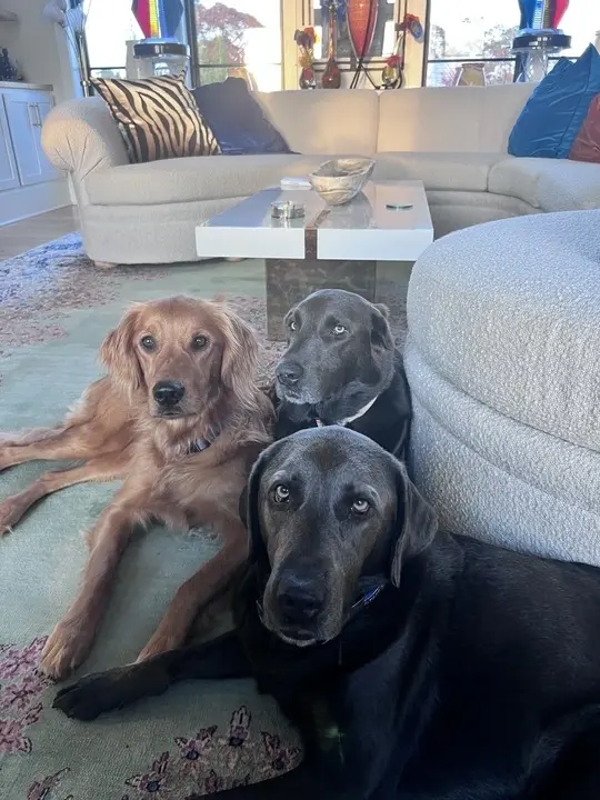 2025 TRPG Holiday Card_Gib Mceachran